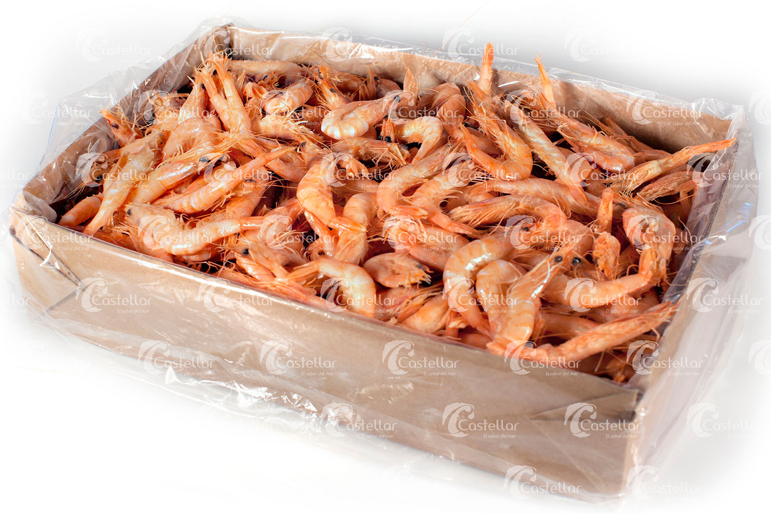 GAMBA 100/120 MARPESCA 1KG