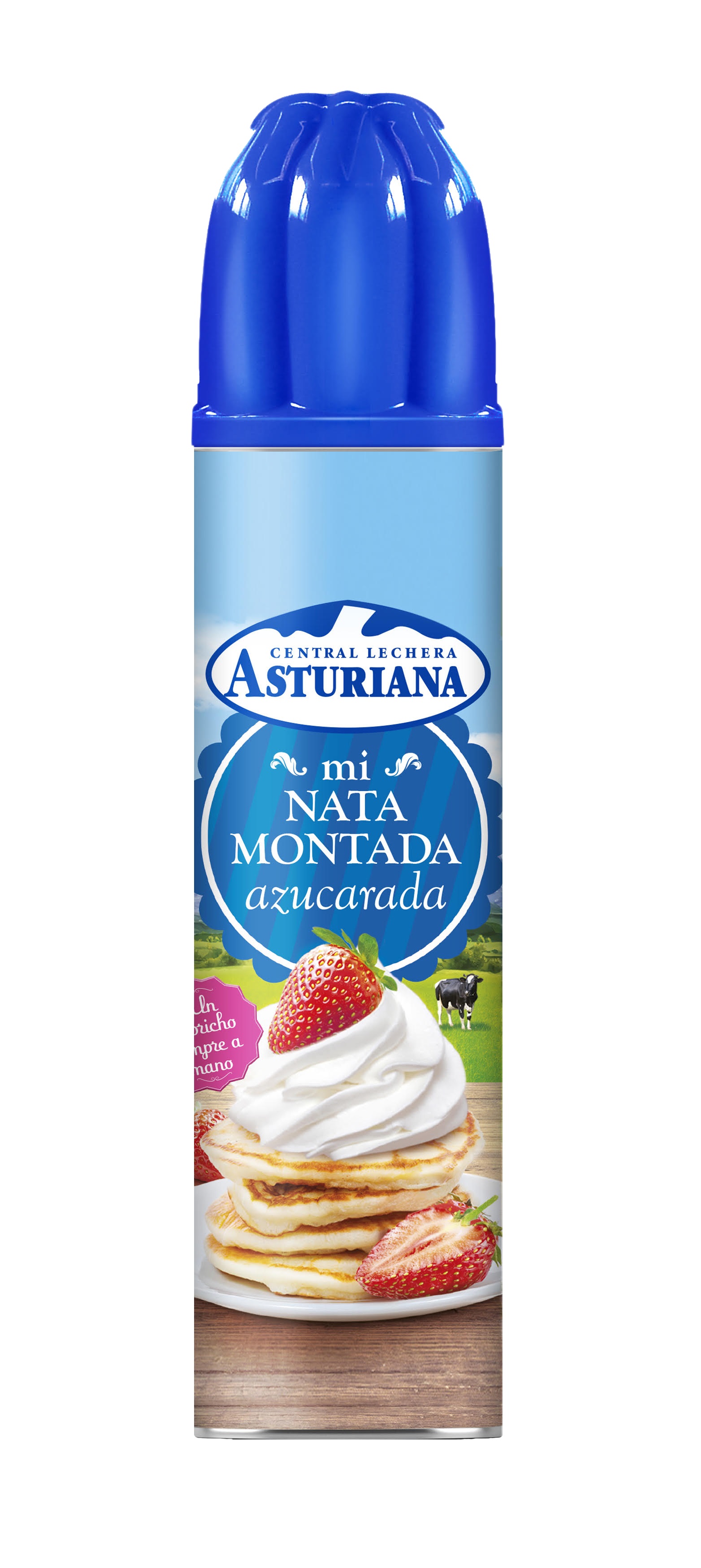 NATA SPRAY 250G+10% ASTURIANA