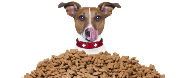 PIENSO PERROS ADULTO 20KG ALIPET